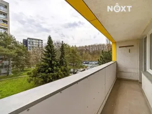 Prodej bytu 2+1, Praha - Žižkov, Habrová, 46 m2
