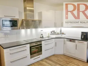 Pronájem bytu 1+kk, Plzeň, U Borských kasáren, 40 m2