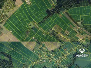 Prodej podílu pole, Milíkov, 477 m2