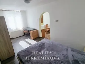 Pronájem bytu 1+kk, České Budějovice, 25 m2