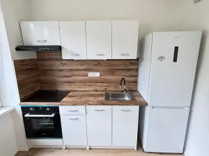 Pronájem bytu 2+1, Most, Alej Boženy Němcové, 58 m2