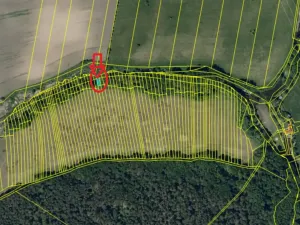 Prodej podílu lesa, Ratíškovice, 2864 m2