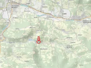 Prodej podílu lesa, Malá Bystřice, 5829 m2