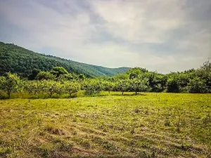 Prodej pozemku pro bydlení, Štěpánovice, 5402 m2