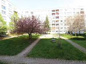 Pronájem bytu 3+1, Břeclav, Na Valtické, 75 m2