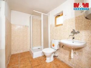 Prodej rodinného domu, Chocnějovice - Sovenice, 100 m2