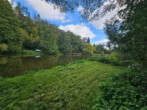 Prodej zahrady, Hvězdonice, 1154 m2