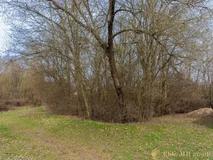 Prodej pozemku pro bydlení, Lomnice, 2163 m2