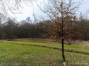 Prodej pozemku pro bydlení, Lomnice, 2163 m2