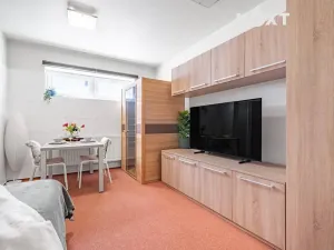 Prodej bytu 1+1, Brno, Karla Kryla, 31 m2