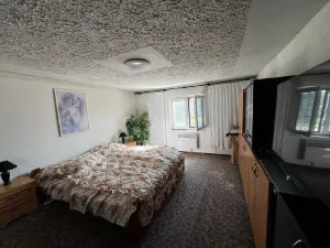 Prodej rodinného domu, Chlum Svaté Maří, Mariánská, 250 m2