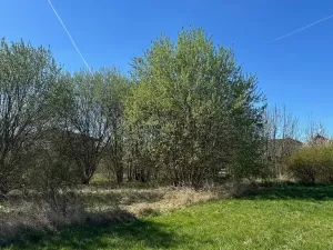 Prodej pozemku pro bydlení, Úhonice, Dušnická, 1669 m2
