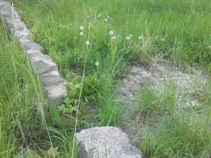 Prodej pozemku pro bydlení, Meziměstí, 2212 m2