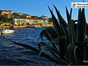 Prodej bytu 2+kk, Lun, Chorvatsko, 60 m2