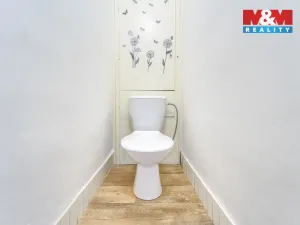 Pronájem bytu 1+1, Plzeň - Východní Předměstí, Francouzská třída, 38 m2