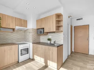 Pronájem bytu 1+1, Heřmanův Městec, V Lukách, 32 m2