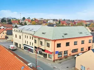 Prodej rodinného domu, Sezemice, Jungmannova, 690 m2