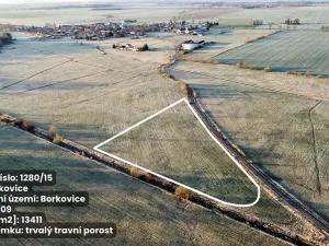 Prodej pole, Borkovice, 37657 m2