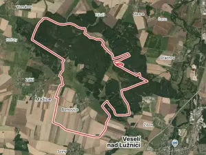 Prodej pole, Borkovice, 37657 m2