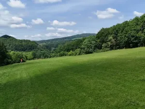 Prodej podílu louky, Bradlecká Lhota, 52392 m2