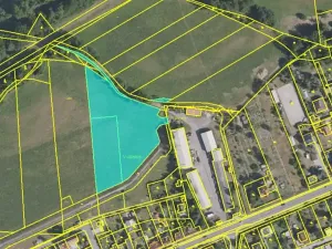 Prodej louky, Benátky nad Jizerou, 7834 m2