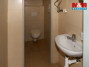 Pronájem obchodního prostoru, Teplice - Trnovany, Masarykova třída, 200 m2