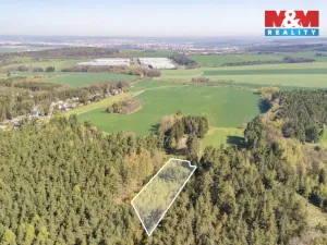 Prodej lesa, Losiná, 2645 m2