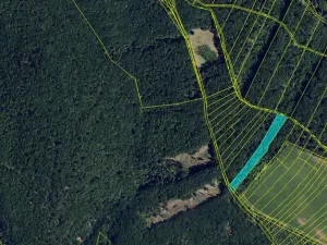 Prodej lesa, Silůvky, 3896 m2