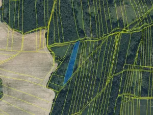 Prodej lesa, Blížejov - Lštění, 4481 m2