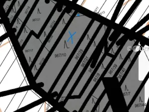 Prodej lesa, Silůvky, 462 m2