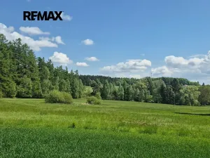 Prodej pozemku pro bydlení, Borová, 5776 m2