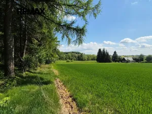 Prodej pozemku pro bydlení, Borová, 7429 m2