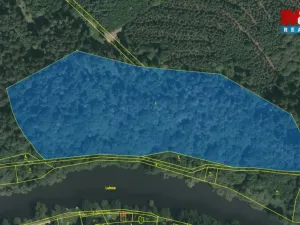 Prodej lesa, Řepeč, 39640 m2