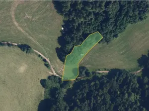 Prodej louky, Zborov, 9806 m2