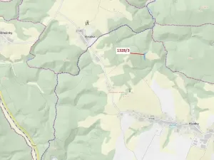 Dražba lesa, Kladky, 3057 m2