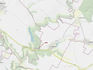 Dražba lesa, Mladoňovice, 1427 m2