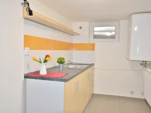 Pronájem bytu 1+1, Brno, Dykova, 39 m2