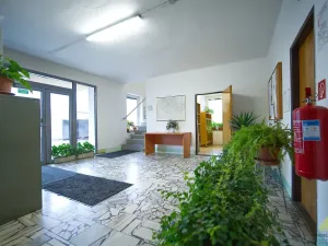 Prodej výrobních prostor, Loštice, 2290 m2