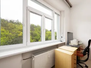 Prodej bytu 3+1, Brno, Úvoz, 97 m2