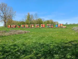 Prodej pozemku pro bydlení, Beřovice, 534 m2