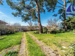 Prodej rodinného domu, Ledeč nad Sázavou, Jabloňová, 260 m2