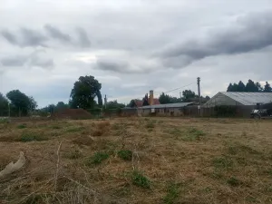 Pronájem zahrady, Plzeň, Pod Vinicemi, 1001 m2