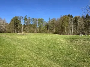 Prodej lesa, Loužnice, 5723 m2