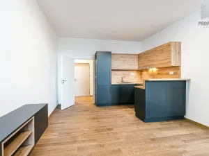 Pronájem bytu 2+kk, Brno, Stavební, 56 m2
