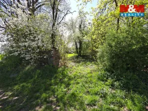 Prodej pozemku pro bydlení, Hostovlice, 3331 m2