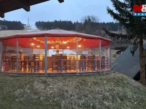 Prodej ubytování, Čenkovice, 297 m2