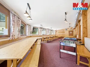 Prodej ubytování, Čenkovice, 297 m2