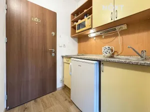 Pronájem bytu 1+kk, Brno, Jedovnická, 20 m2