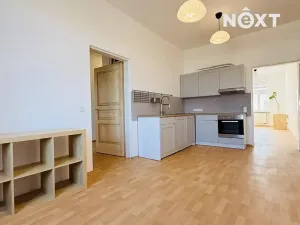Pronájem bytu 3+kk, České Budějovice, Dobrovodská, 62 m2