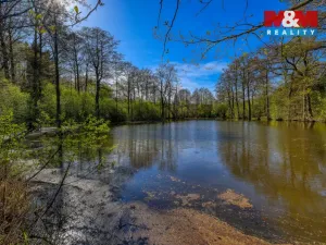 Prodej zemědělské usedlosti, Vidice, 110 m2